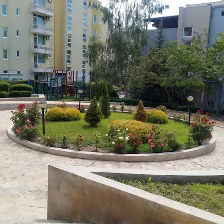 елит 4 * ساني بيتش