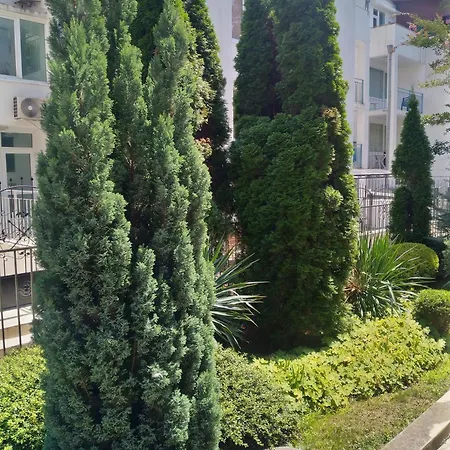 Apartment елит 4 *